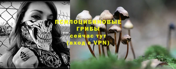 МДПВ Коряжма