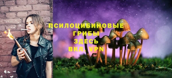хмурый Костерёво