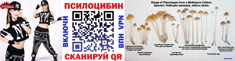 гидра ссылка  Короча  Псилоцибиновые грибы прущие грибы  магазин   